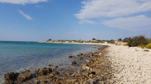 Terra Park Phalaris Pitches — Photo 5