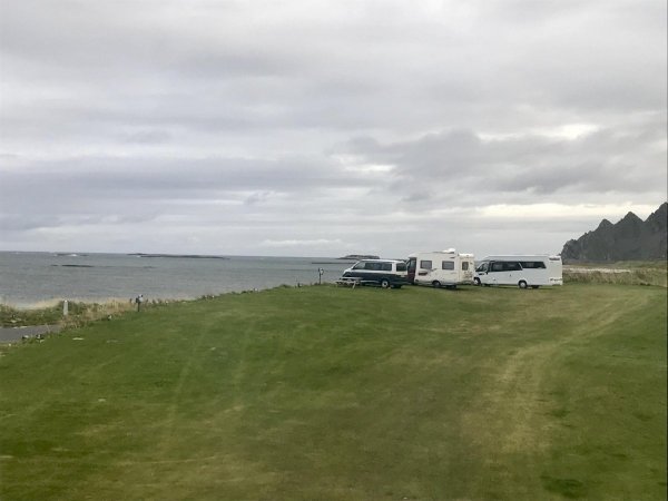 Terra Park Phalaris Pitches — Photo 6