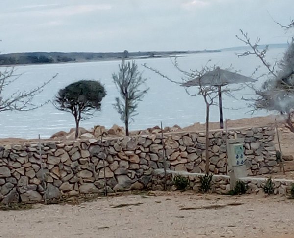 Terra Park Phalaris Pitches — Foto 6