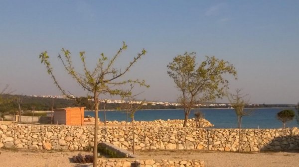 Terra Park Phalaris Pitches — Foto 5