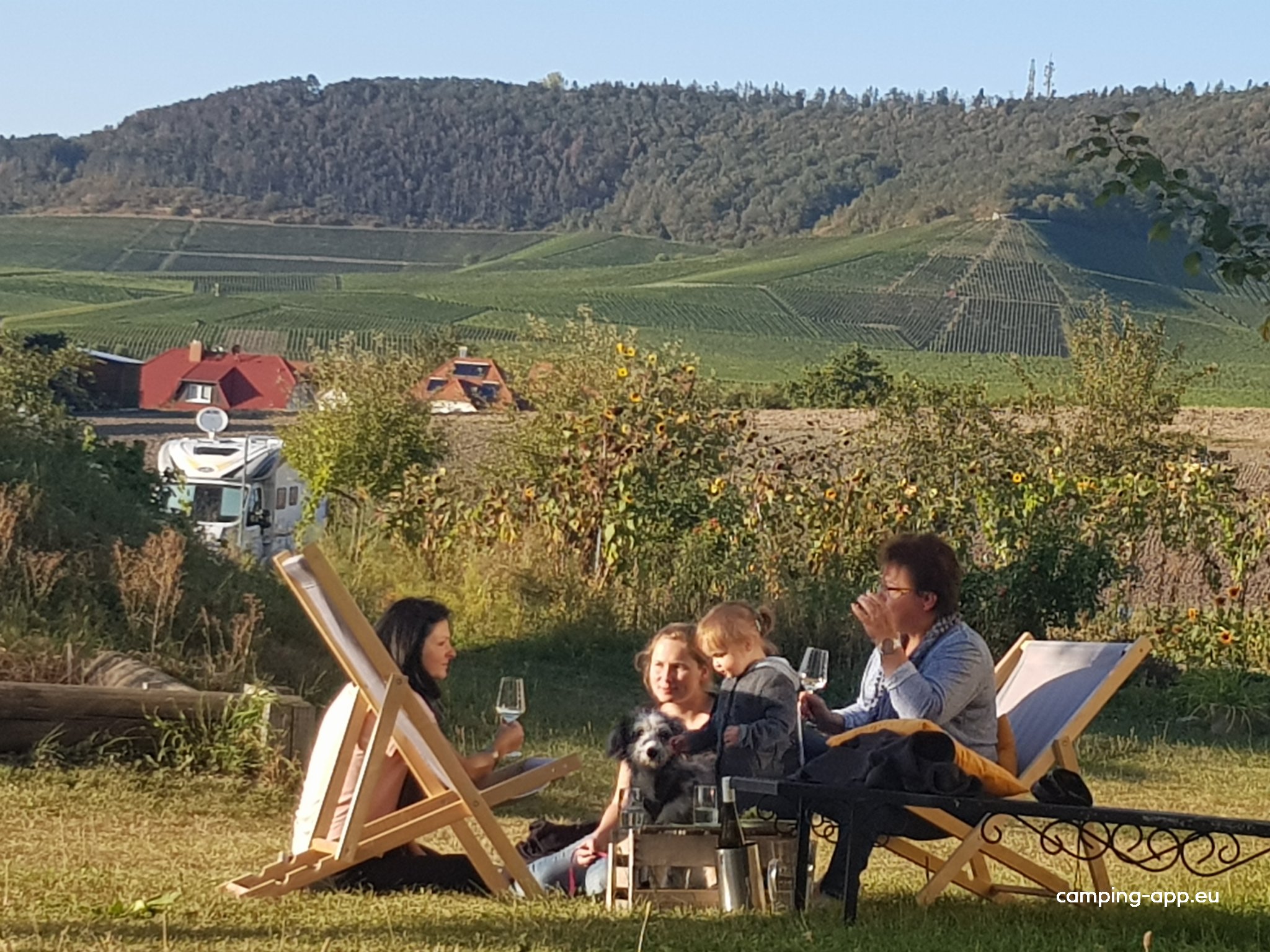 Stellplatz Weingut Emmerich — Foto 2