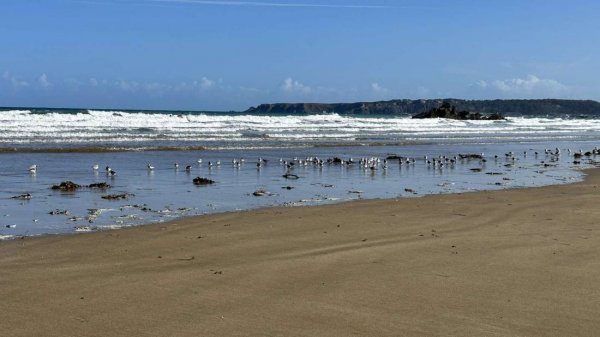 Camping Saint Pabu Plage ****