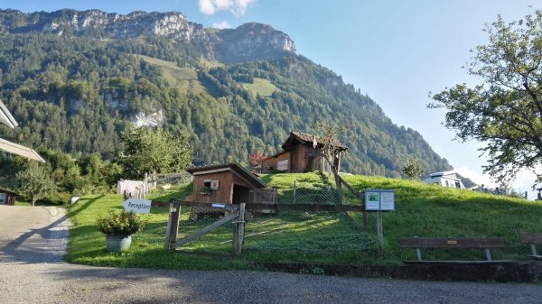 Ferienhof Rüti — Photo 5