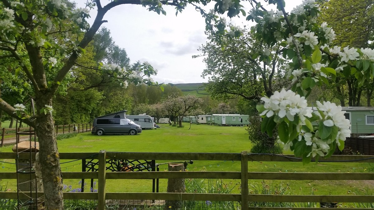 Orchard Caravan Park — QuickStop in Reeth