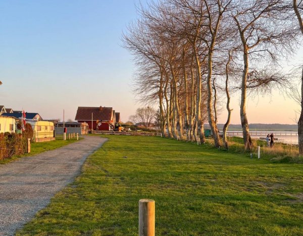 Campingplatz Wackerballig — Foto 6
