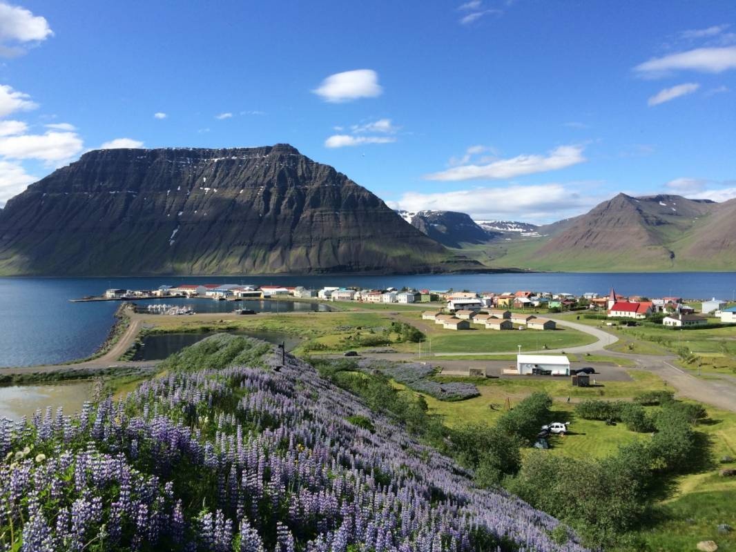 Flateyri Campsite — Cámping in Flateyri