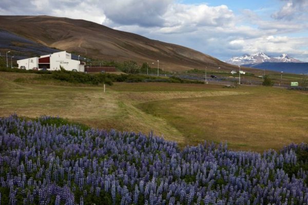 Hlaðir - War and Peace Museum