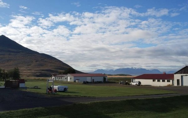 Ártún Campsite