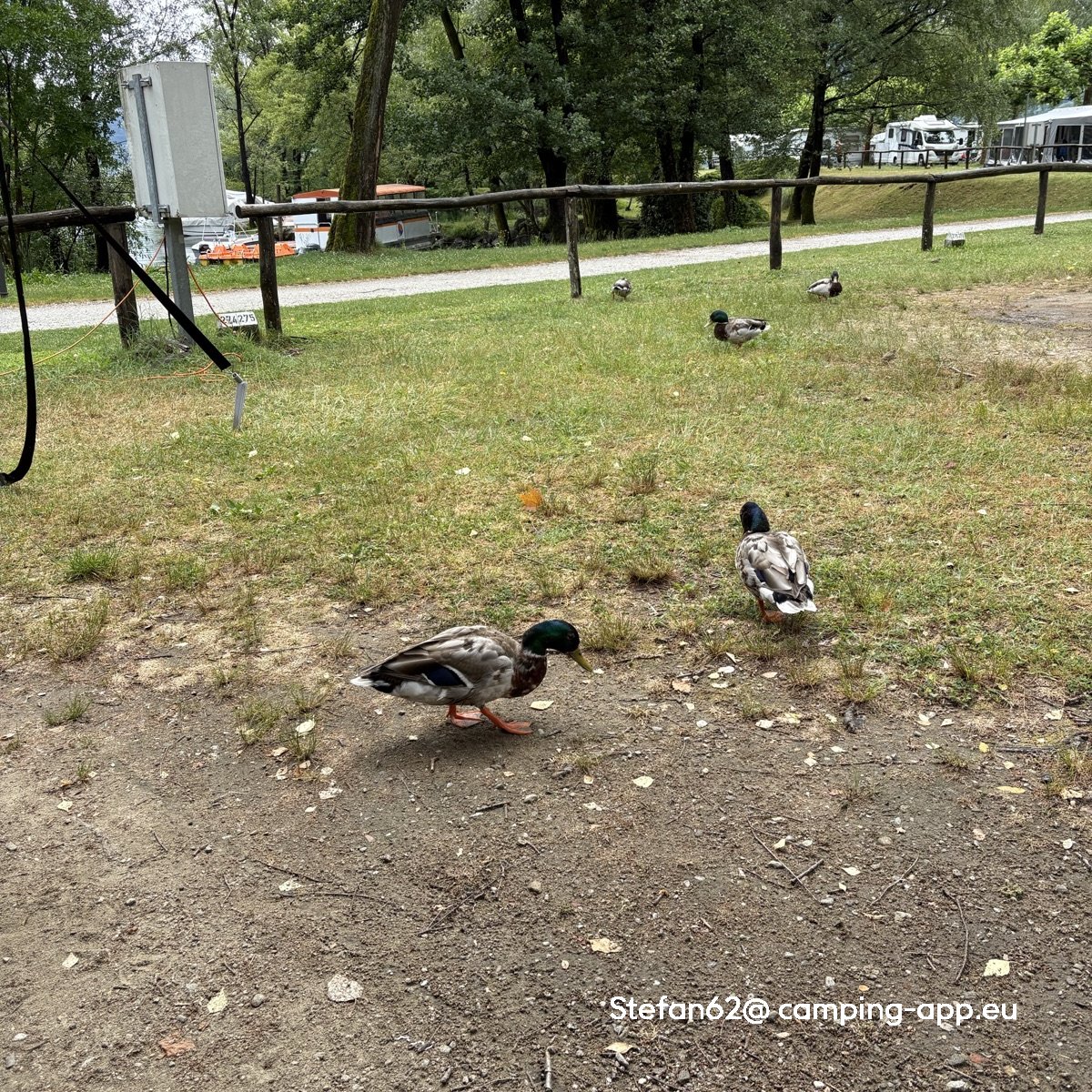 Camping Delta — Photo 2