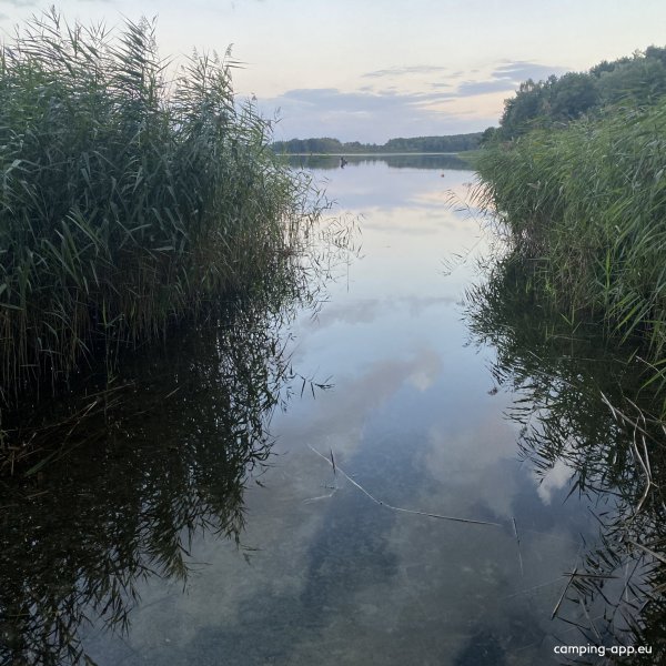 Campingplatz am Garder See — Photo 5