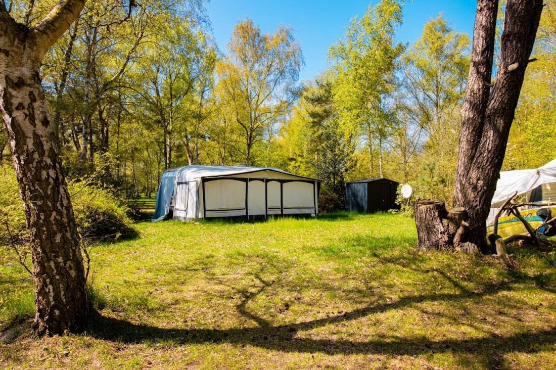 Regenbogen Born — Camping Site in Born am Darß
