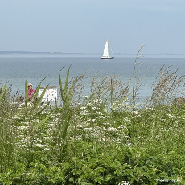 Autocamperplads Als — Foto 2