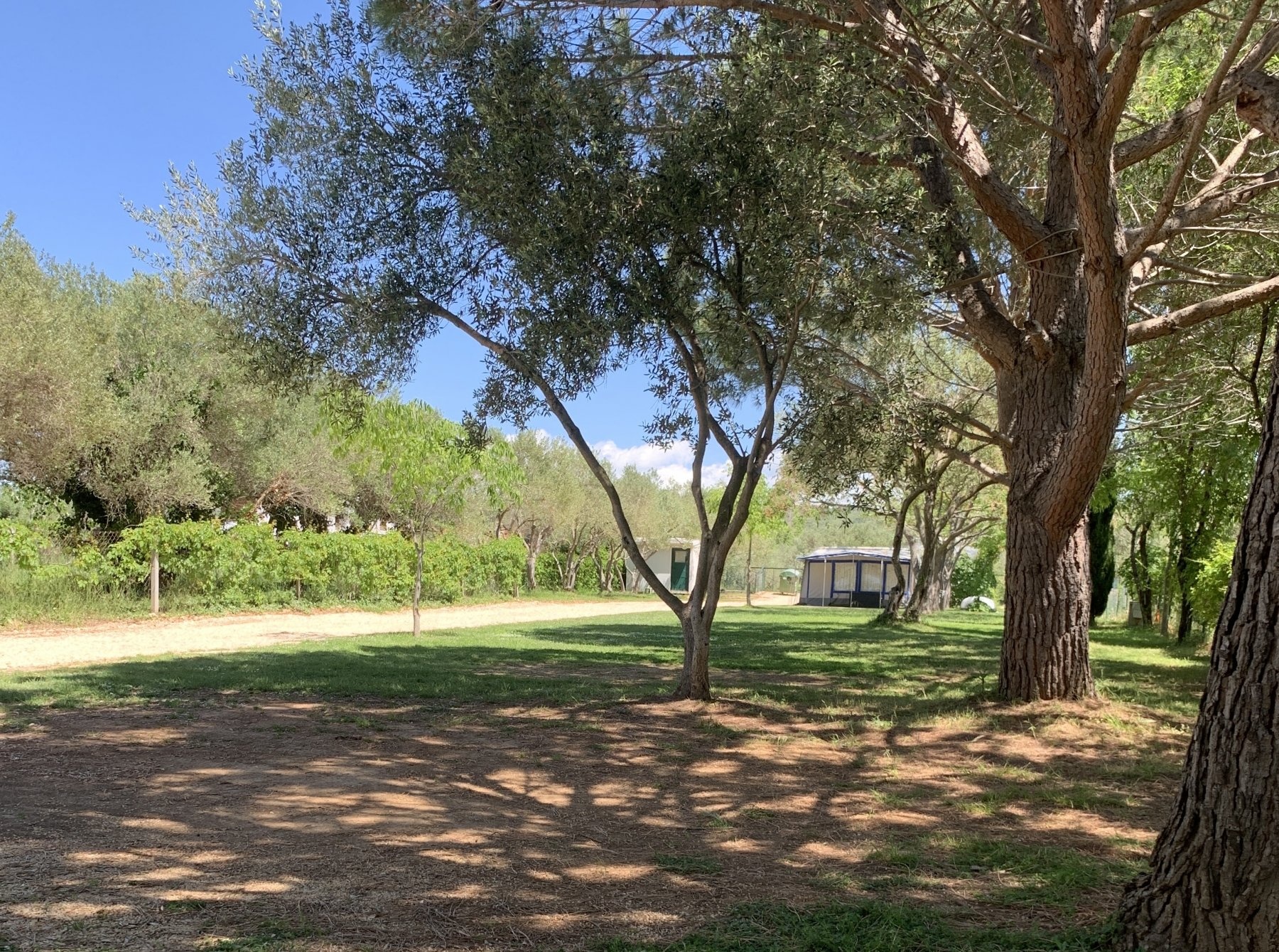 Camp Matea — Aire camping car in Općina Bibinje