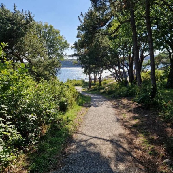 Fjällbacka Camping — Foto 3