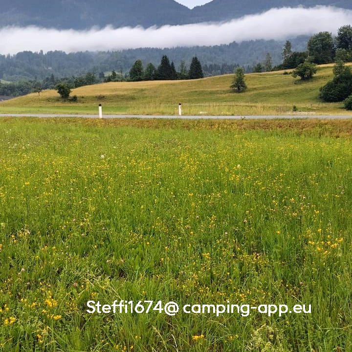 Camp Danica — Foto 2