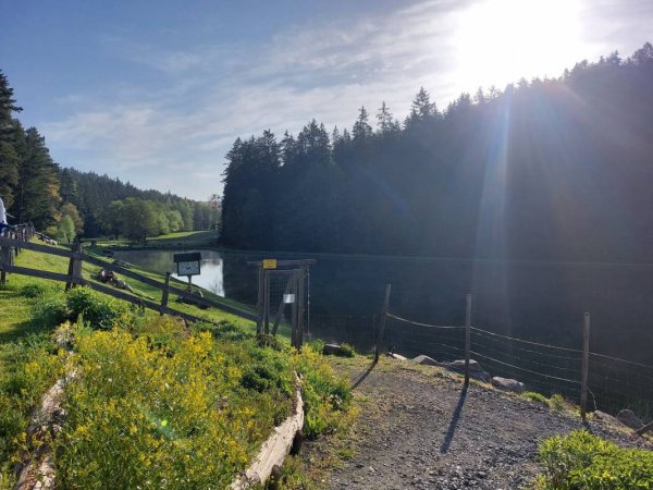 Vogtland Camping — Foto 6