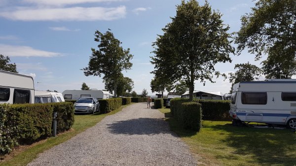 Sandager Næs Camping — Photo 2