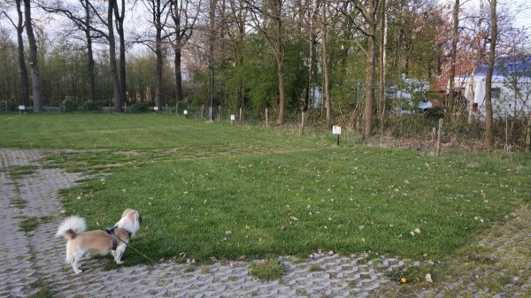 Erve Velpen Camperplaatsen — Photo 4