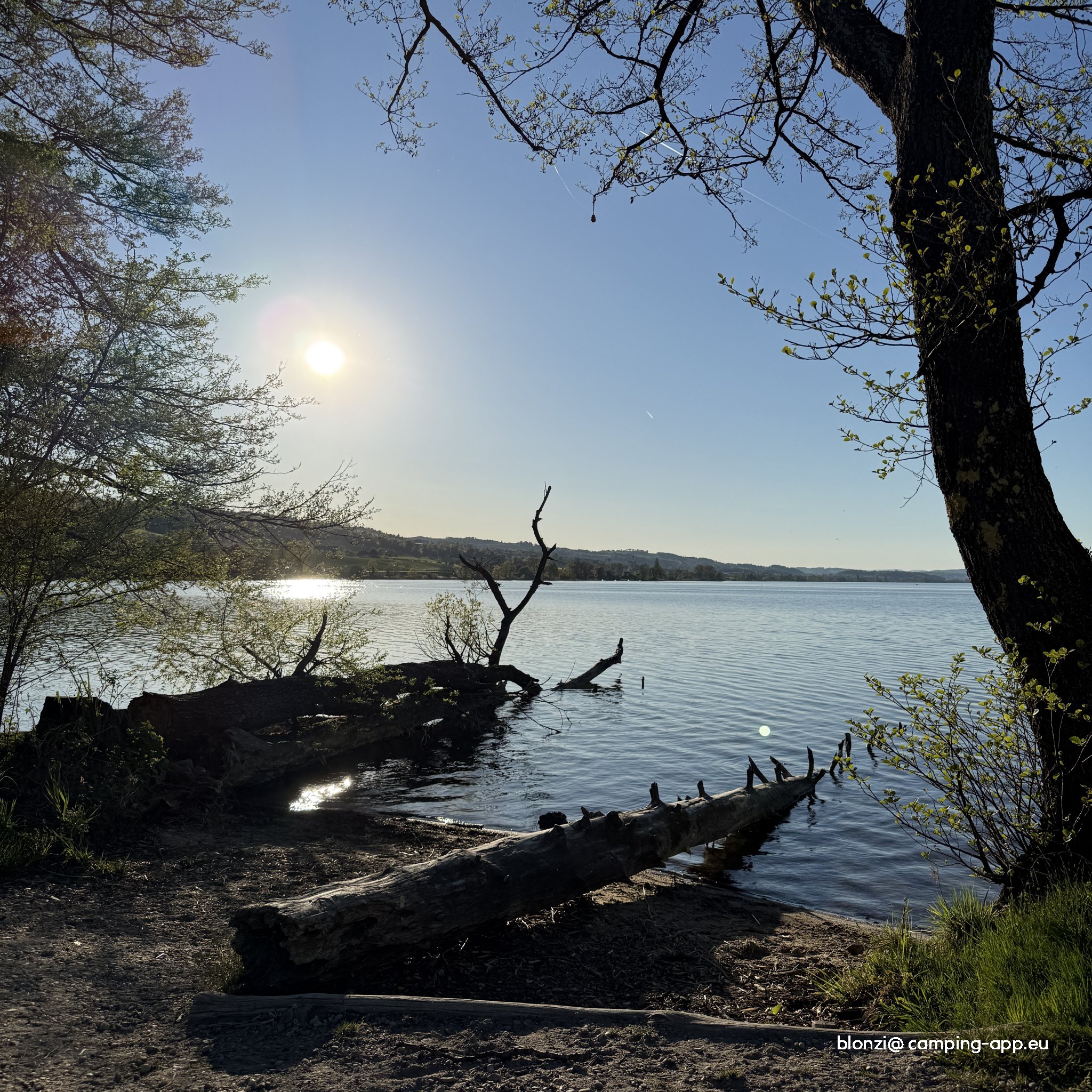 TCS Camping Sempach **** — Photo 3