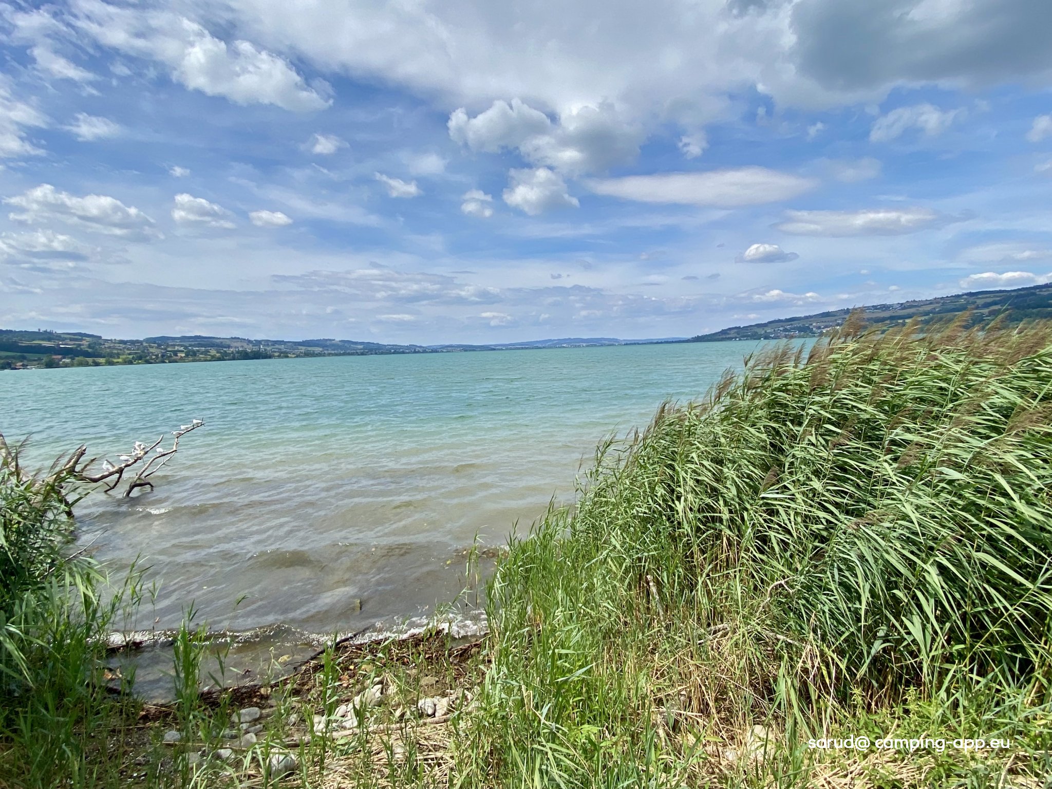TCS Camping Sempach **** — Foto 3