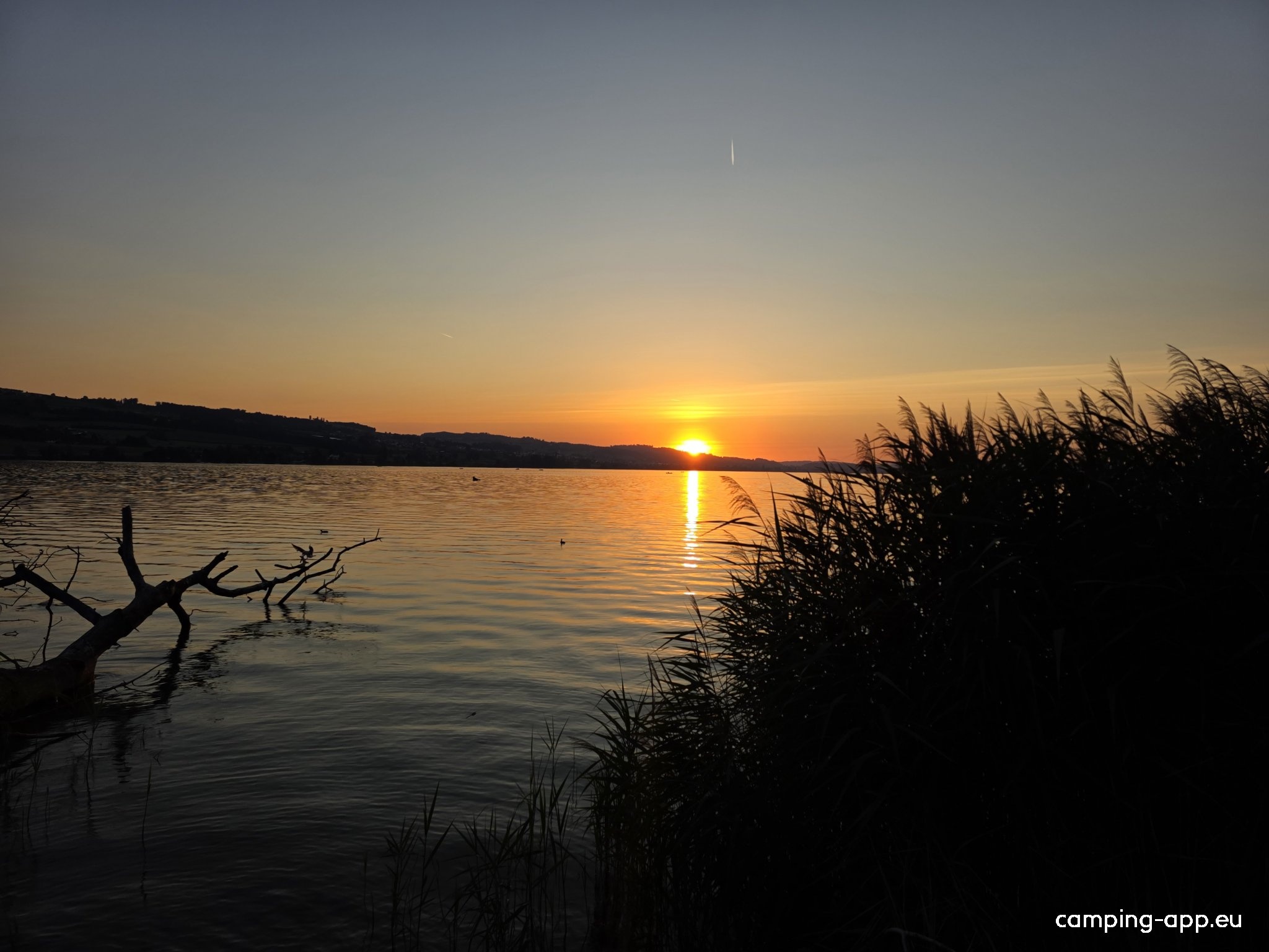 TCS Camping Sempach **** — Sítio de acampamento in Sempach
