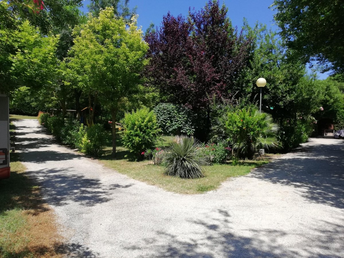 Tobacco Road Club — QuickStop in Sirolo