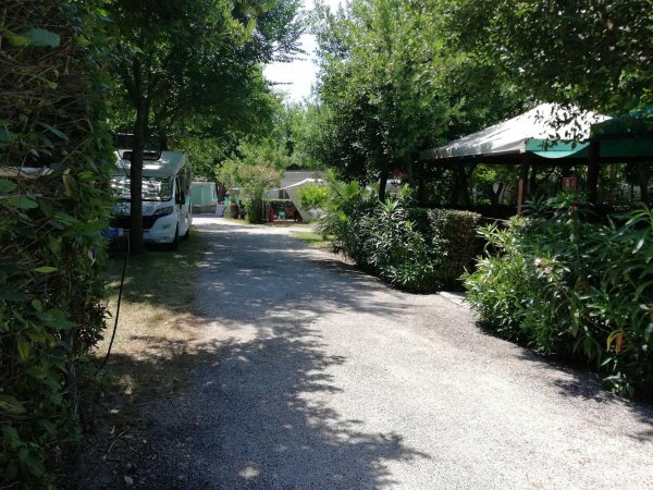 Tobacco Road Club — Photo 2