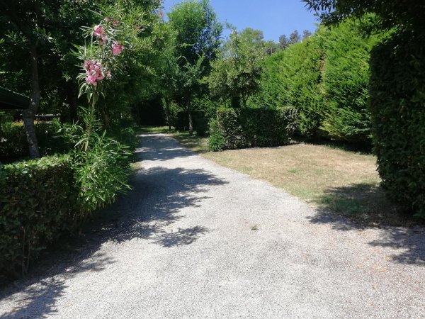 Tobacco Road Club — Photo 3