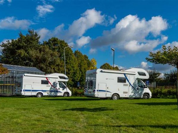 De Boswesels — Photo 2