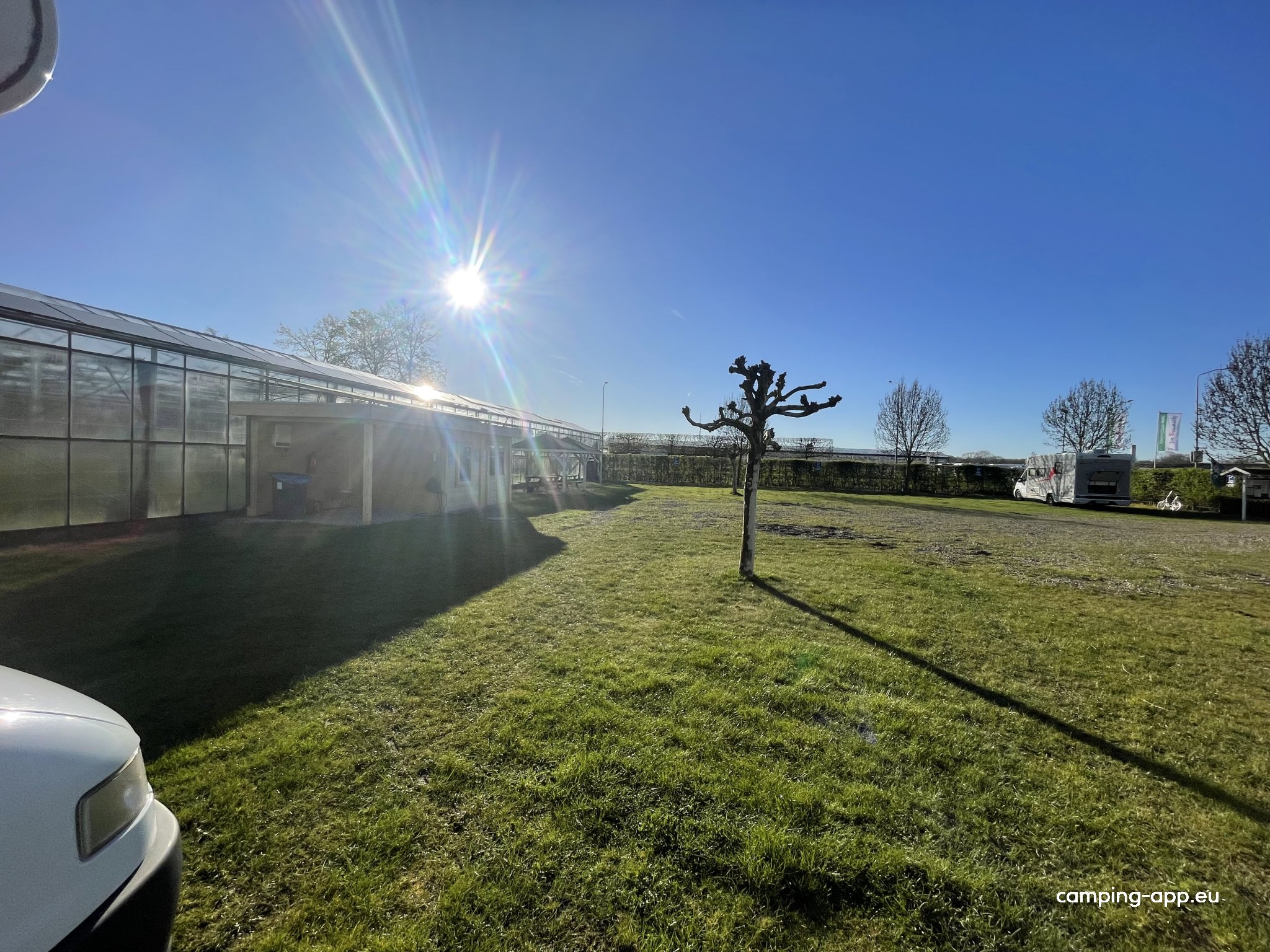 De Boswesels — Photo 4