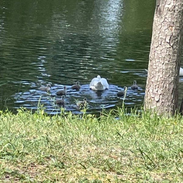 Stellplatz Jüterbog — Photo 6