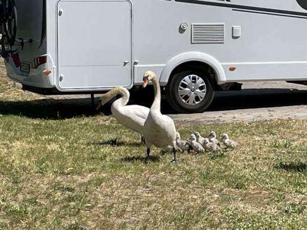 Stellplatz Jüterbog — Photo 2