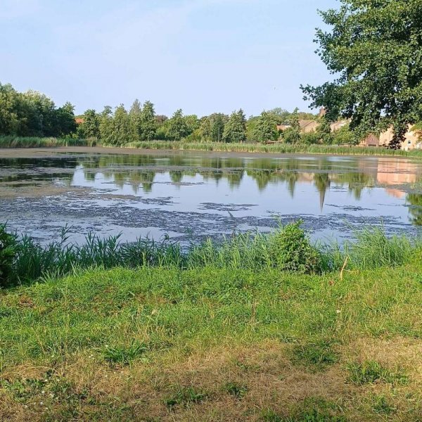 Stellplatz Jüterbog — Zdjęcie 4