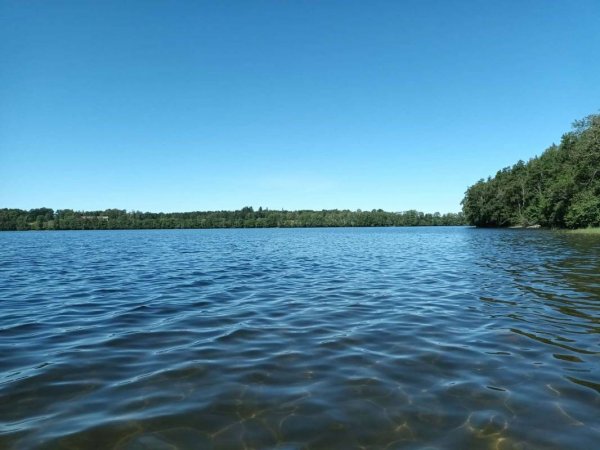 Furusjöns Camping — Foto 4
