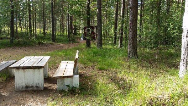 Naturcampingplatz Siknäs Fyrklöver — Foto 4