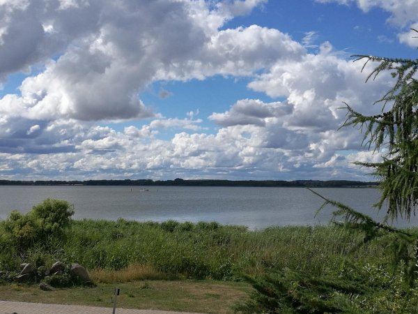 Usedom Achterwasserblick — Photo 2
