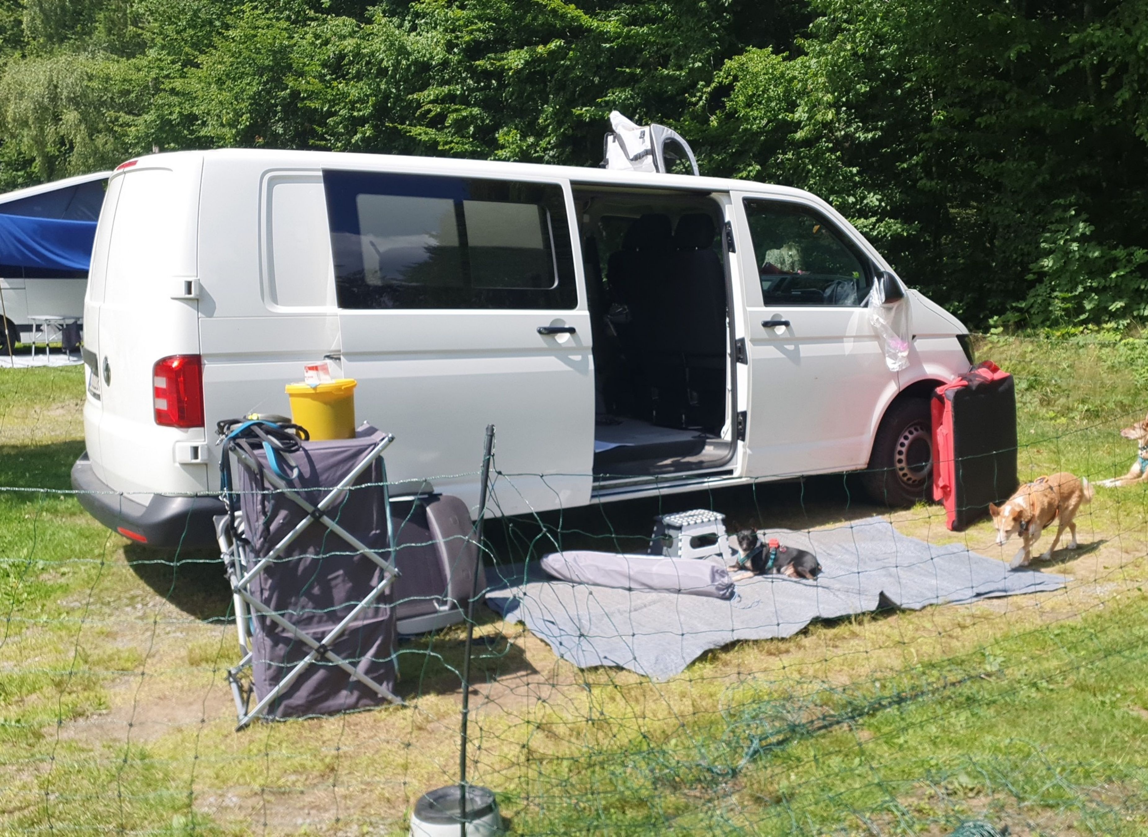 Natur und Camping am Nationalpark — Kemping in Spiegelau
