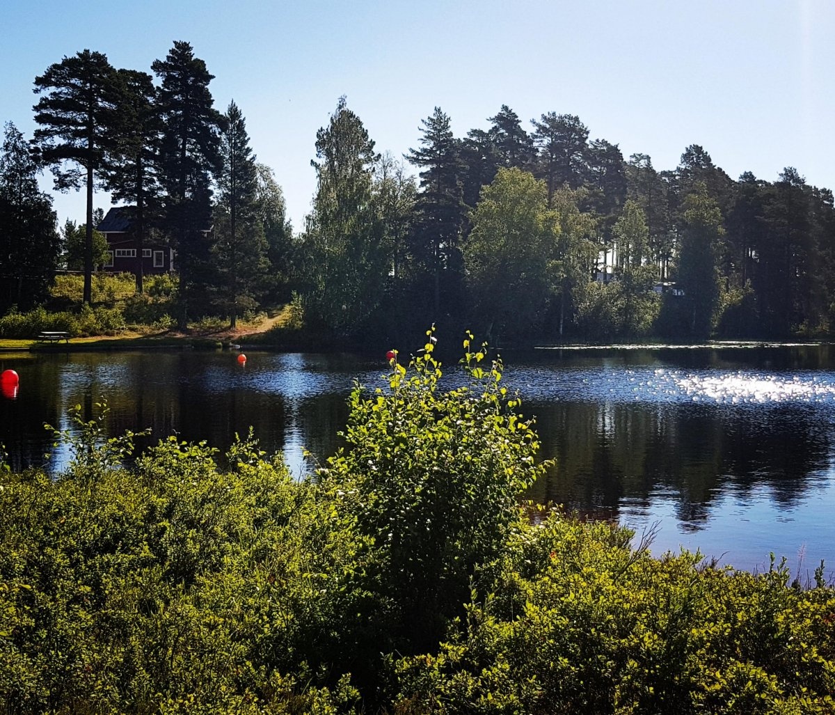Furudals Camping och Vandrarhem — Camping in Furudal