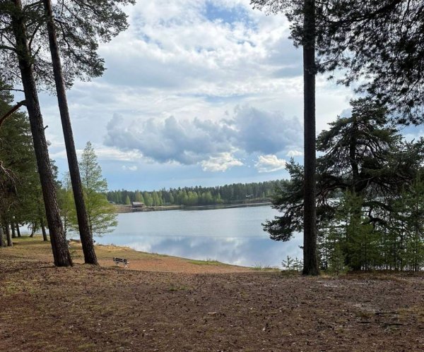 Furudals Camping och Vandrarhem — Photo 3