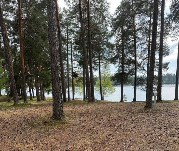 Furudals Camping och Vandrarhem — Photo 5