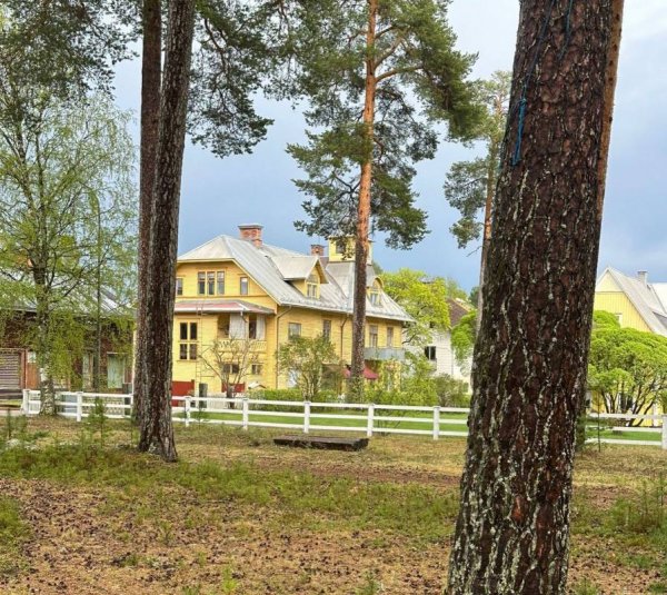 Furudals Camping och Vandrarhem — Photo 6