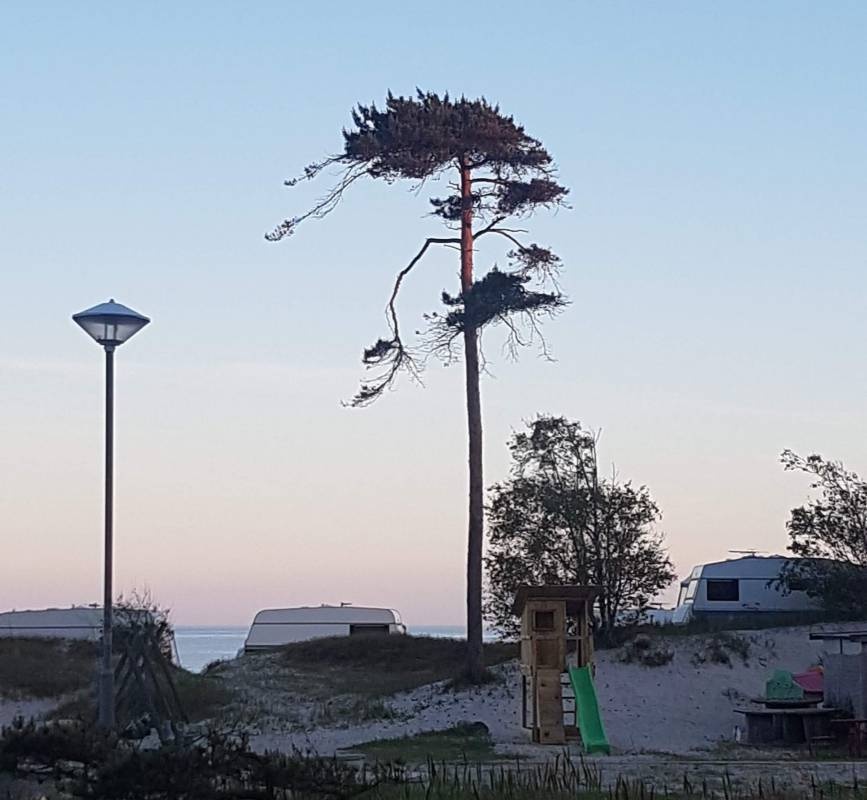 Löderups Strandbad Camping — 露营地 in Löderup