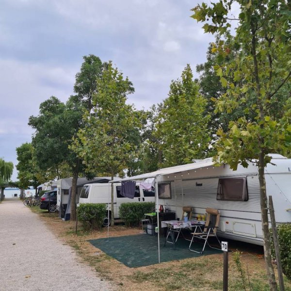 Badacsony Camping — Photo 2