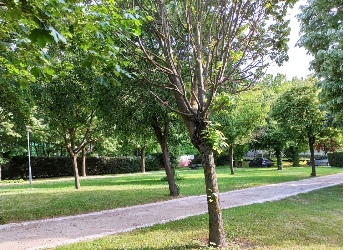 Flamingo Camping — Kamp yeri in Érd