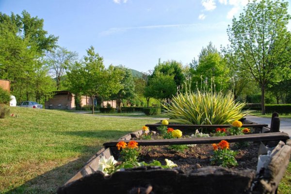 Dömös Camping — Photo 2