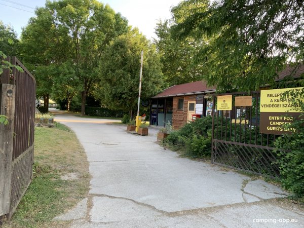 Dömös Camping — Photo 4