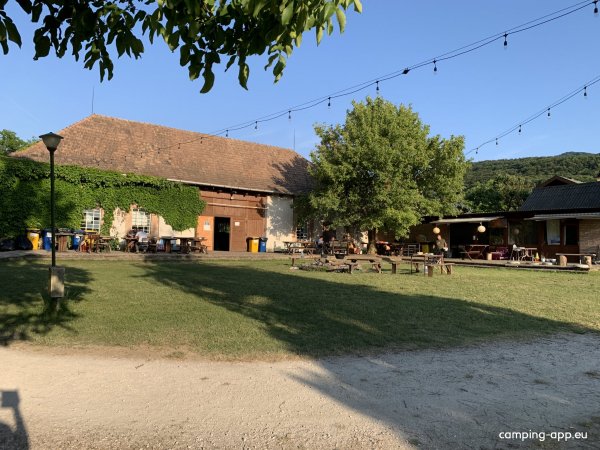 Dömös Camping — Photo 5