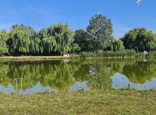 Szeged-Sziksósfürdő Naturist Beach & Campsite (Naturisten Camping)