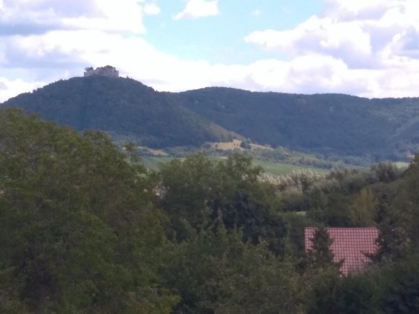 Kohlberg am Jusi — Photo 2