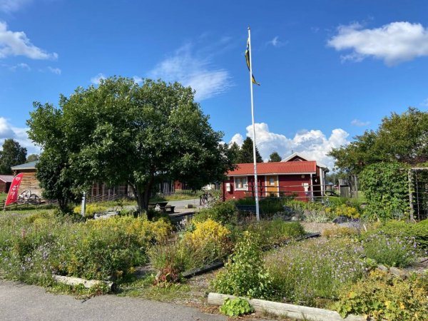 Burträsk Camping — Foto 4